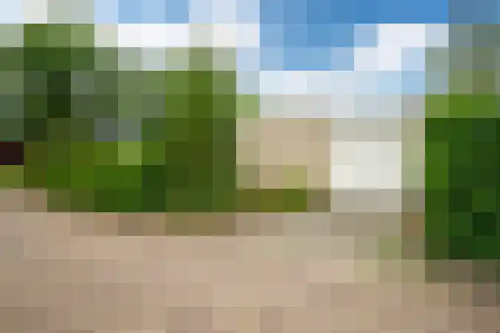 Tormentil 49 Heerenveen thumbnail 9