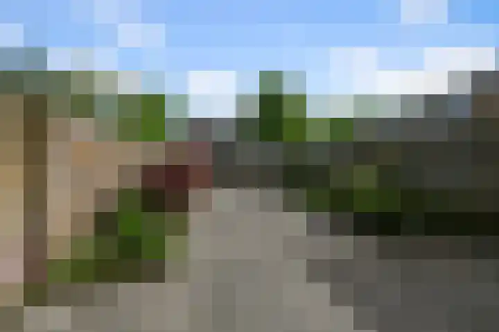 Tormentil 5 Castricum thumbnail 34