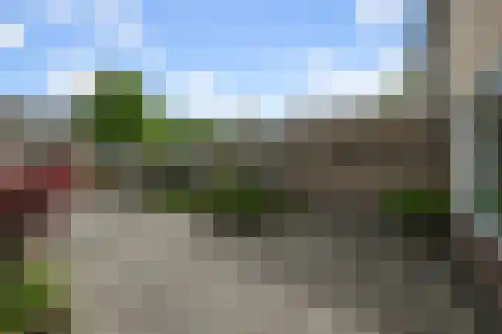 Tormentil 5 Castricum thumbnail 36