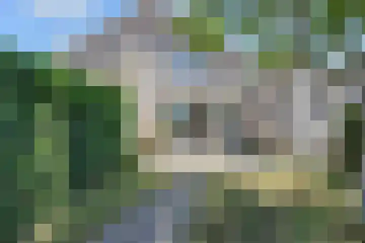 Tormentil 51 Nootdorp thumbnail 39