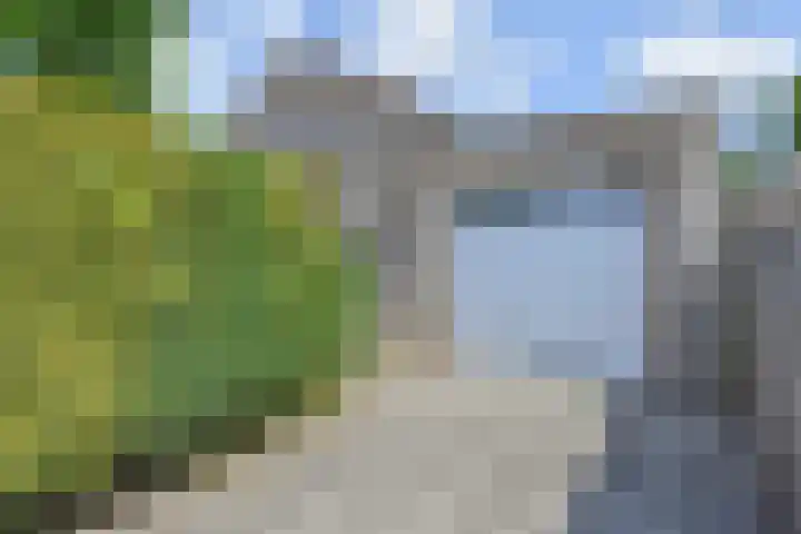 Tormentil 51 Nootdorp thumbnail 42