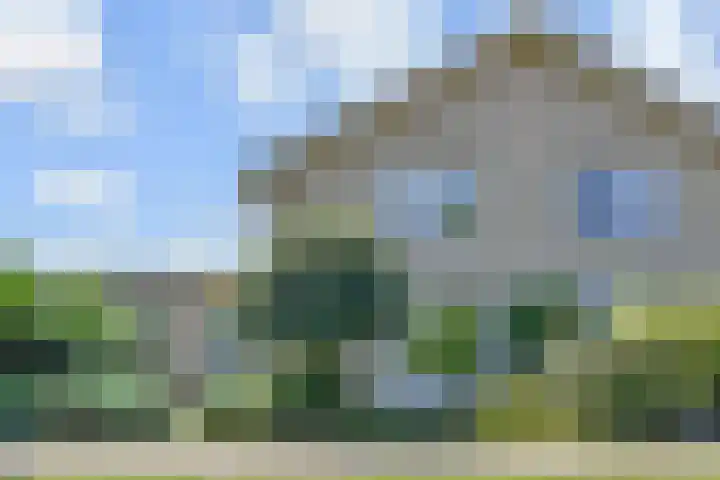 Tormentil 51 Nootdorp thumbnail 44