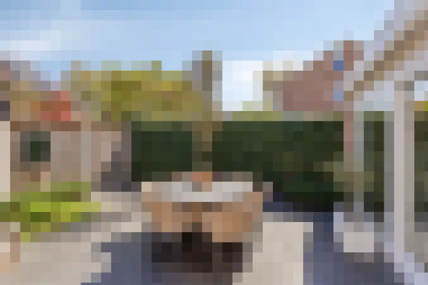 Tormentil 9 Oldenzaal thumbnail 31