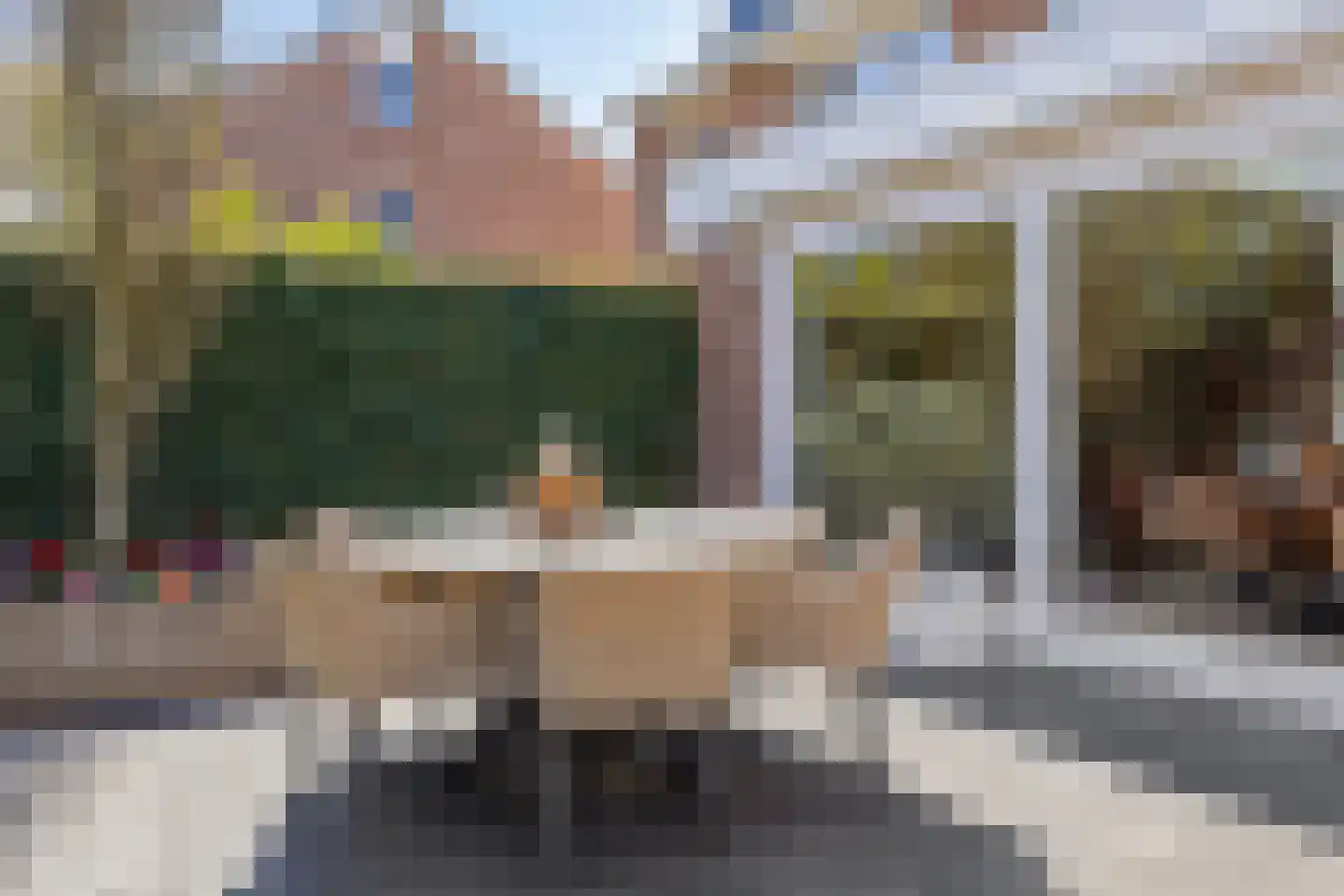 Tormentil 9 Oldenzaal thumbnail 32