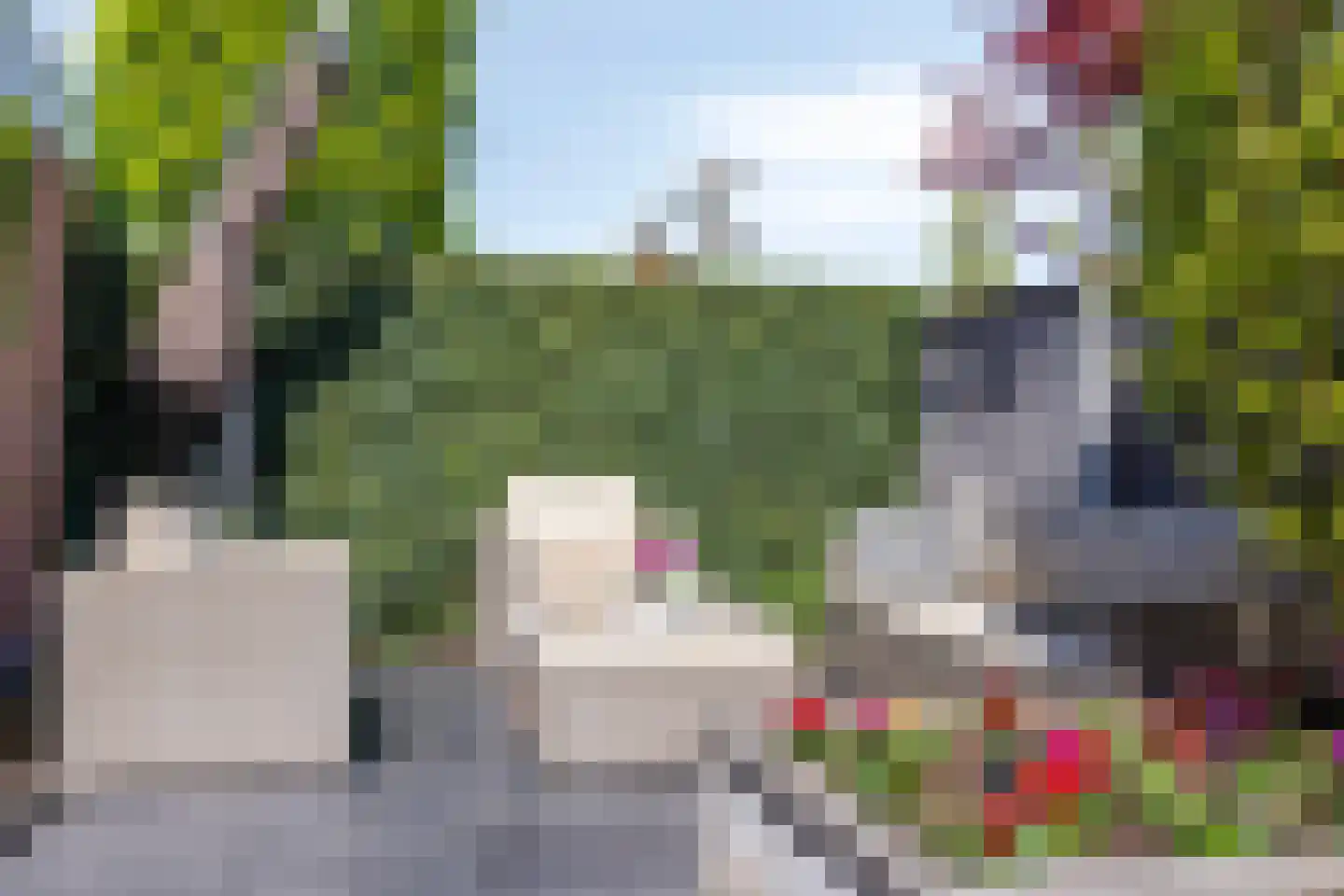Tormentil 9 Oldenzaal thumbnail 34