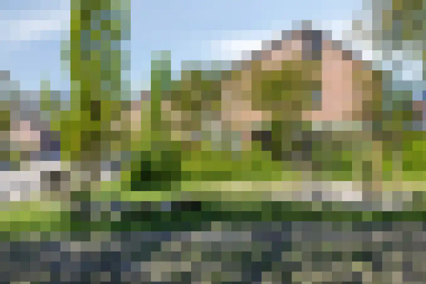 Tormentil 9 Oldenzaal thumbnail 35