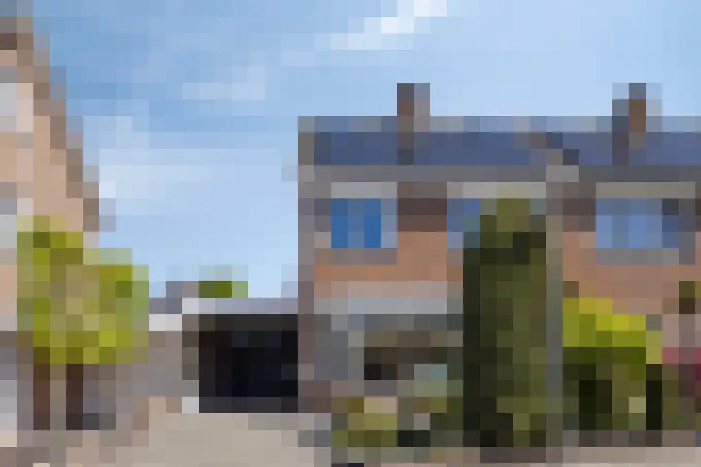 Tormentil 9 Oldenzaal thumbnail 37