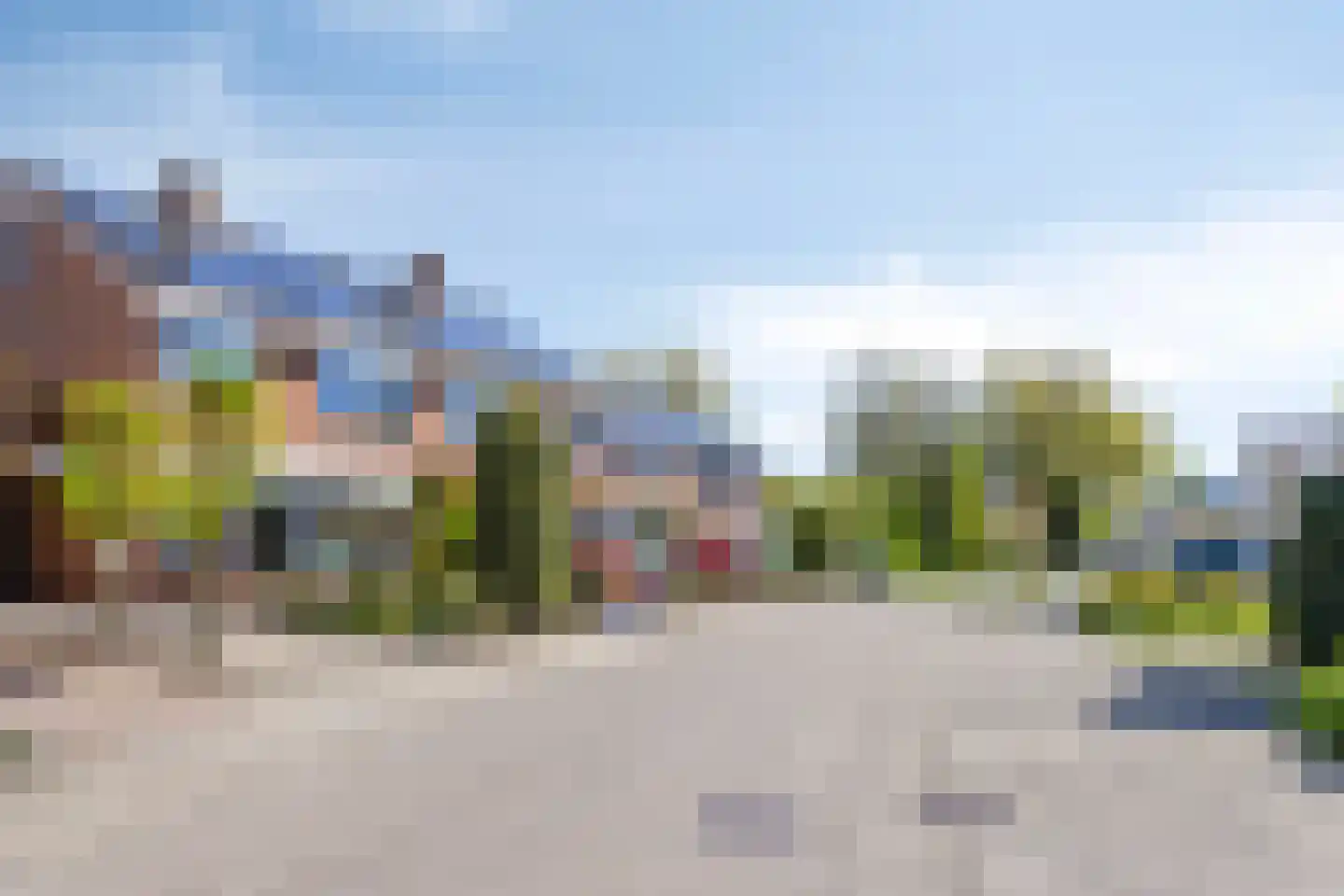 Tormentil 9 Oldenzaal thumbnail 38