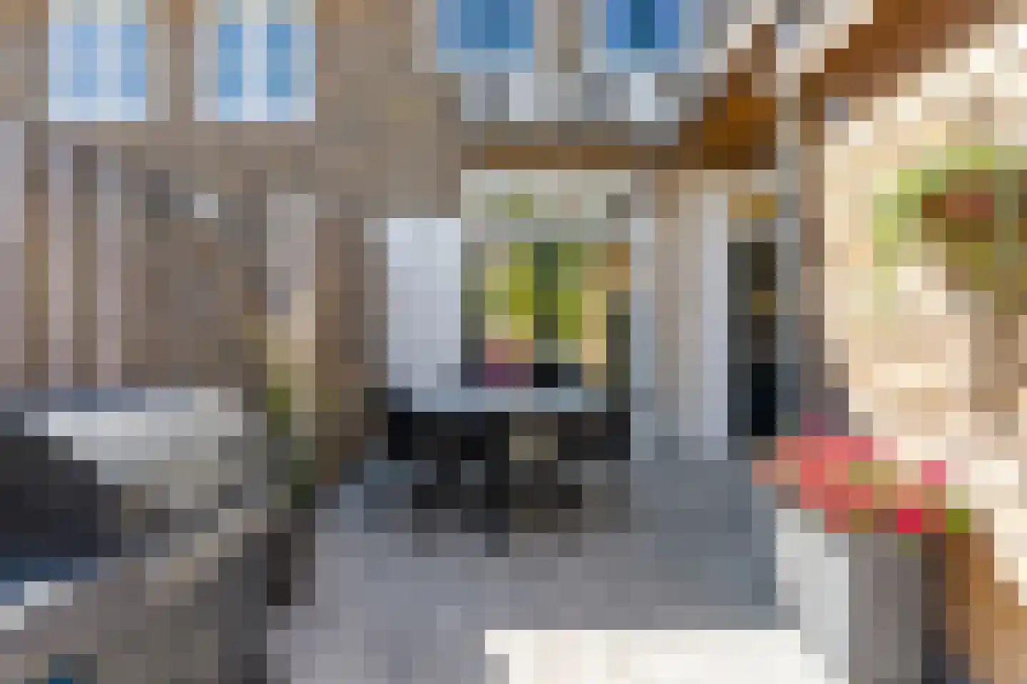 Tormentilstraat 20 Arnhem thumbnail 36