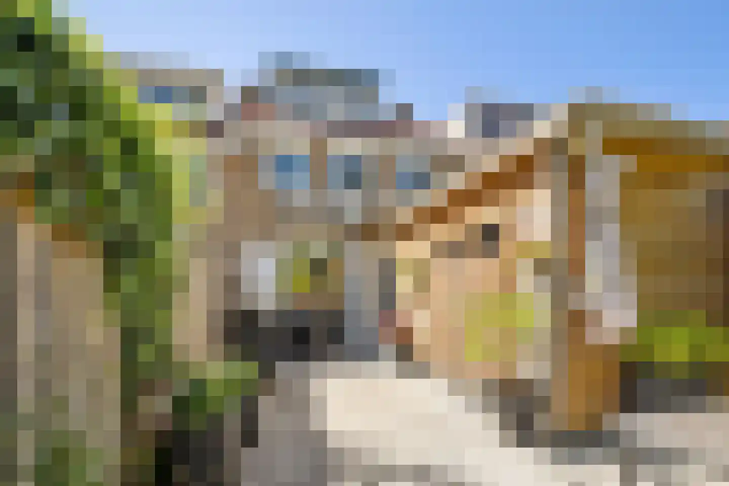 Tormentilstraat 20 Arnhem thumbnail 37