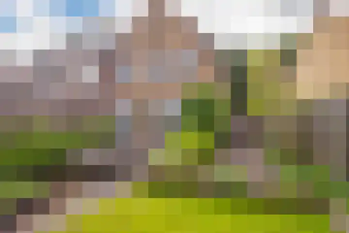 Tormentilstraat 26 Arnhem thumbnail 26
