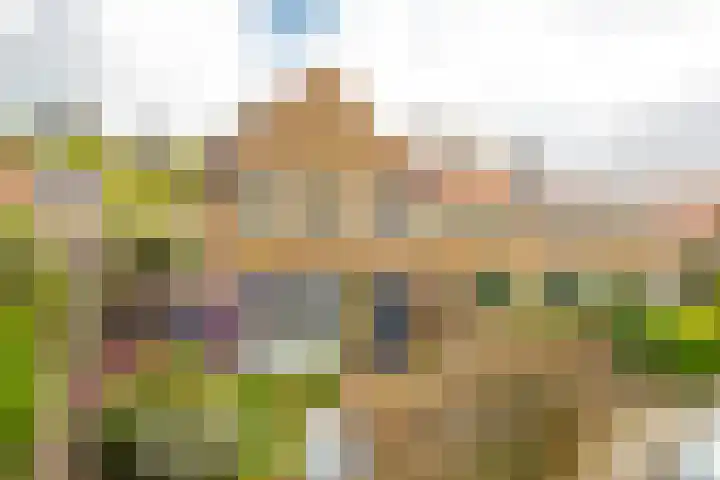 Tormentilstraat 26 Arnhem thumbnail 8