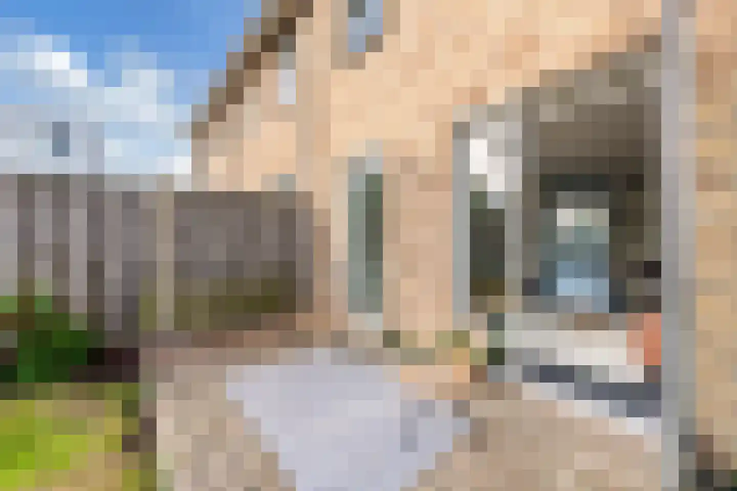 Tormentilstraat 29 Lelystad thumbnail 39