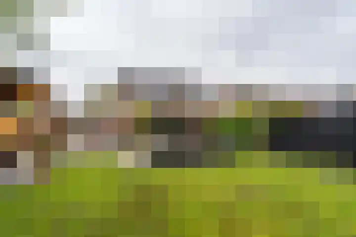 Tormentilstraat 36 Groningen thumbnail 43