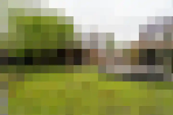 Tormentilstraat 36 Groningen thumbnail 44