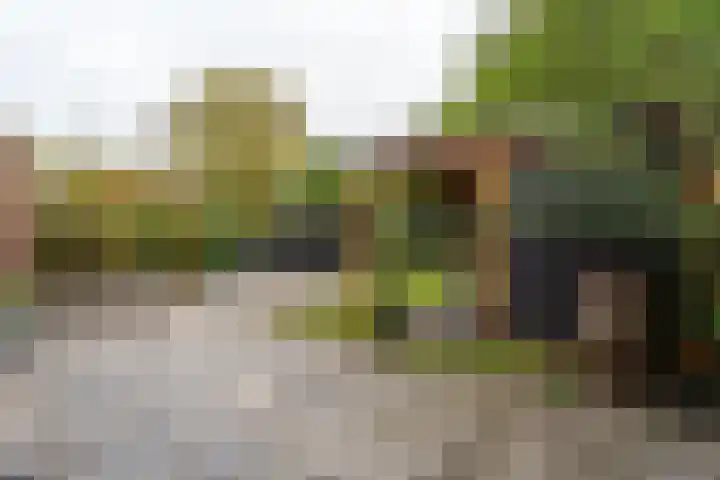 Tormentilstraat 36 Groningen thumbnail 49