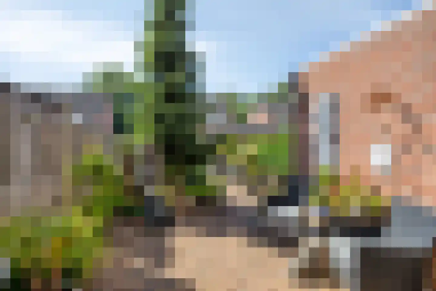 Tormentilstraat 40 Groningen thumbnail 38