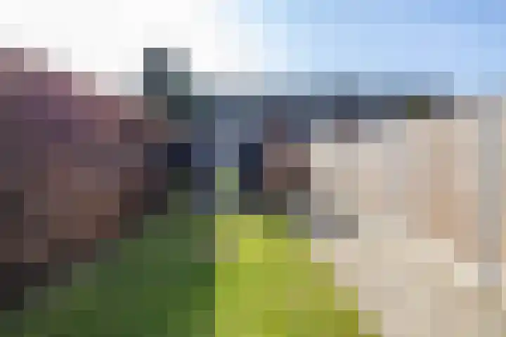 Tormentilstraat 78 Groningen thumbnail 23