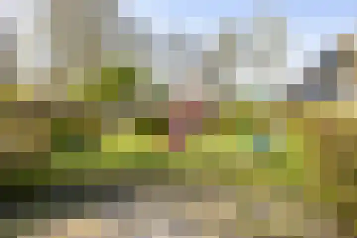 Tormentilstraat 78 Groningen thumbnail 48