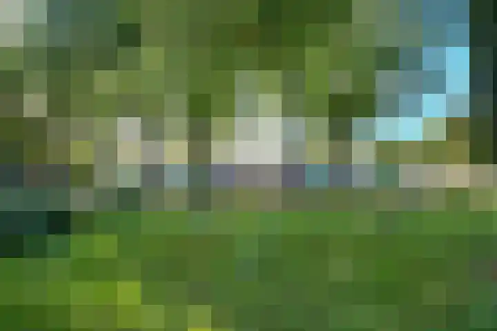 Tormentilstraat 8 Arnhem thumbnail 30