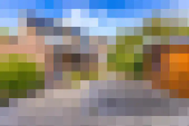 Tormentilstraat 90 Groningen thumbnail 38