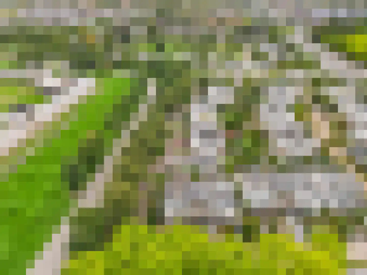 Tornado 1 De Meern thumbnail 55