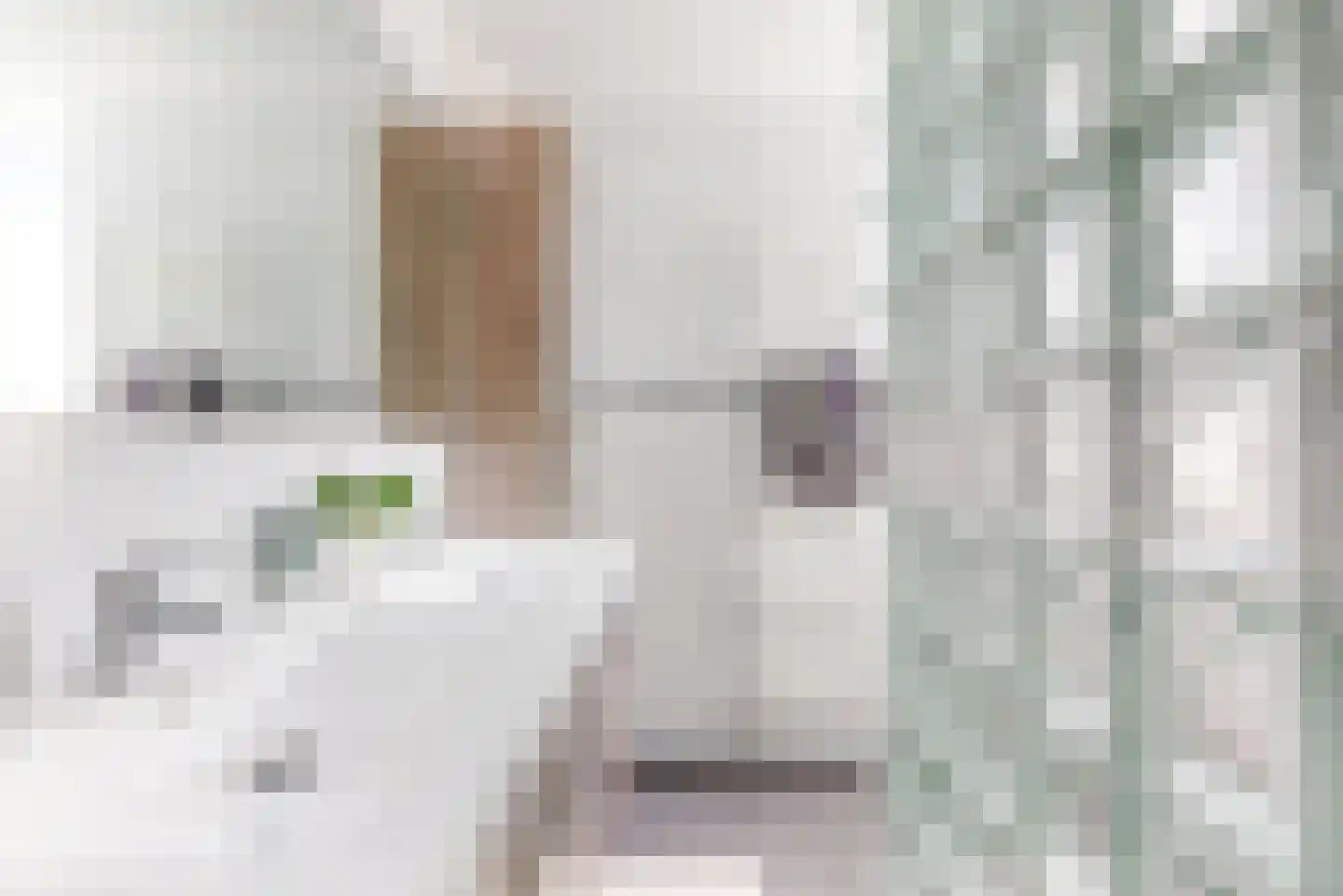 Tornado 1 De Meern thumbnail 8