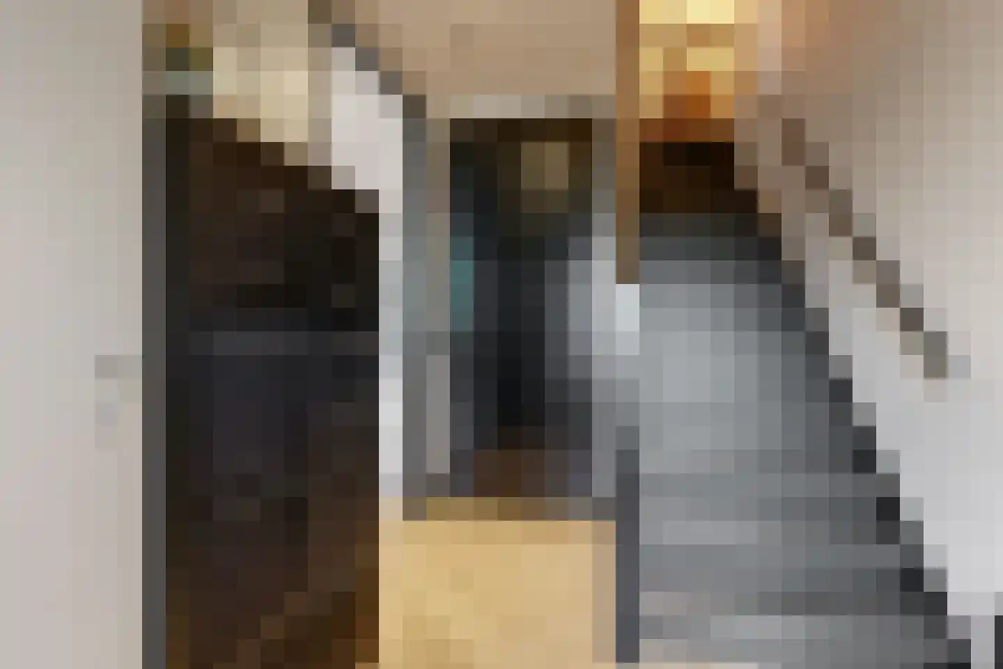 Tornemeer 21 Woerden thumbnail 5