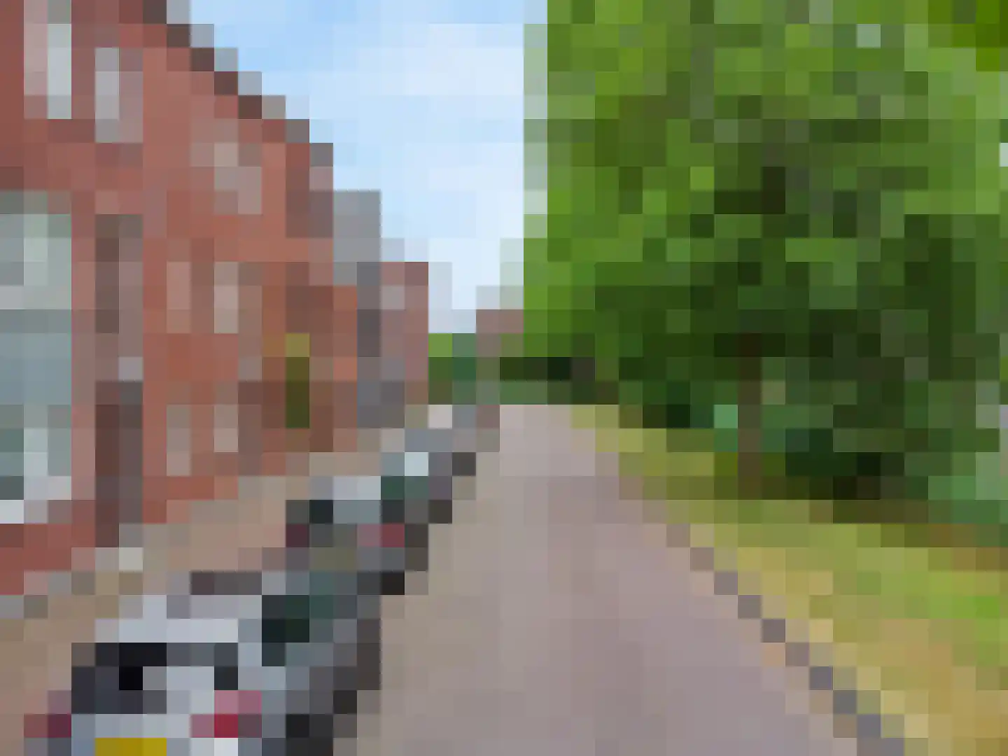 Tornemeer 21 Woerden thumbnail 51