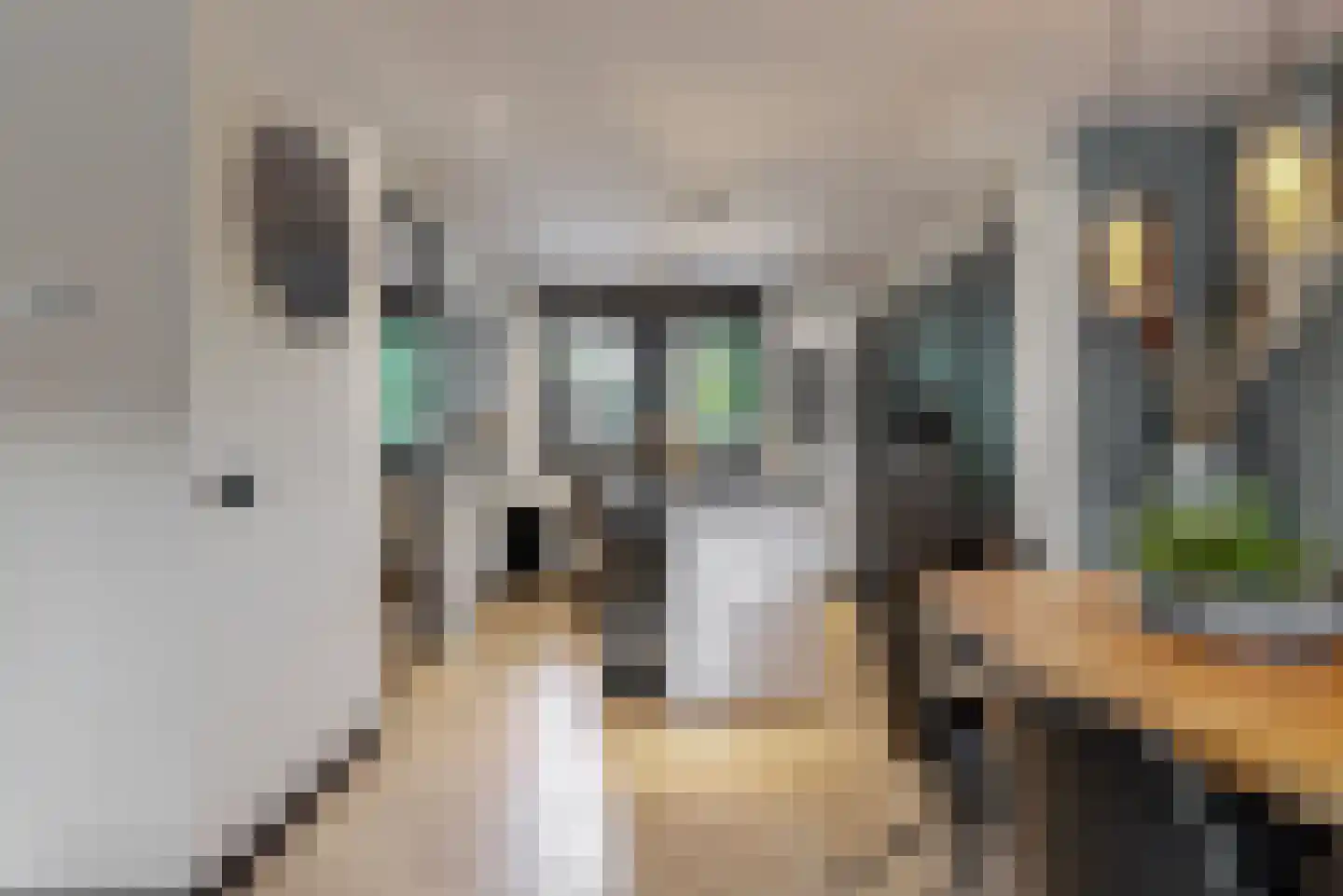 Tornemeer 21 Woerden thumbnail 7