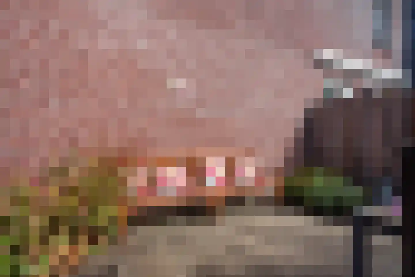 Tornemeer 27 Woerden thumbnail 25