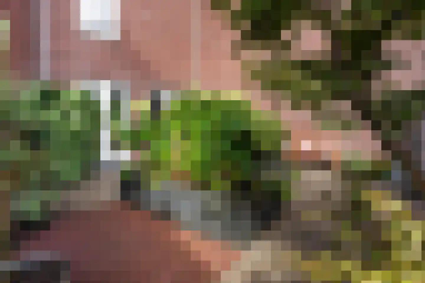 Tornemeer 27 Woerden thumbnail 29