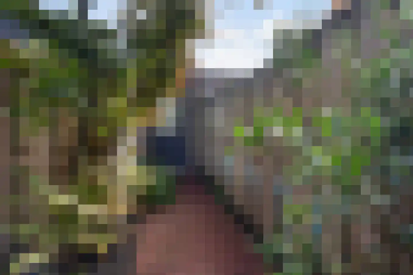 Tornemeer 27 Woerden thumbnail 30