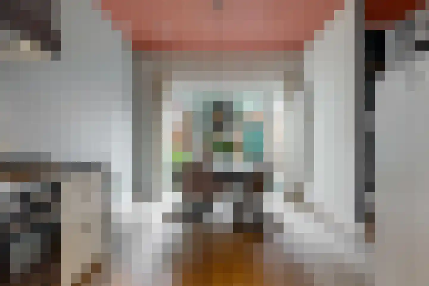 Tornemeer 4 Woerden thumbnail 19
