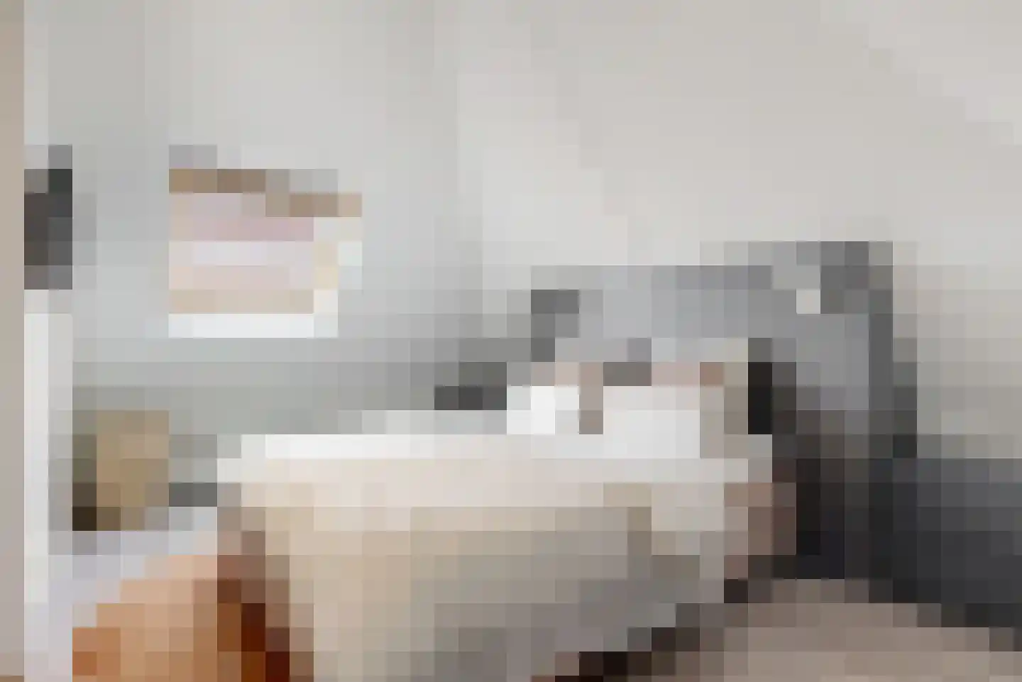 Tornemeer 4 Woerden thumbnail 33