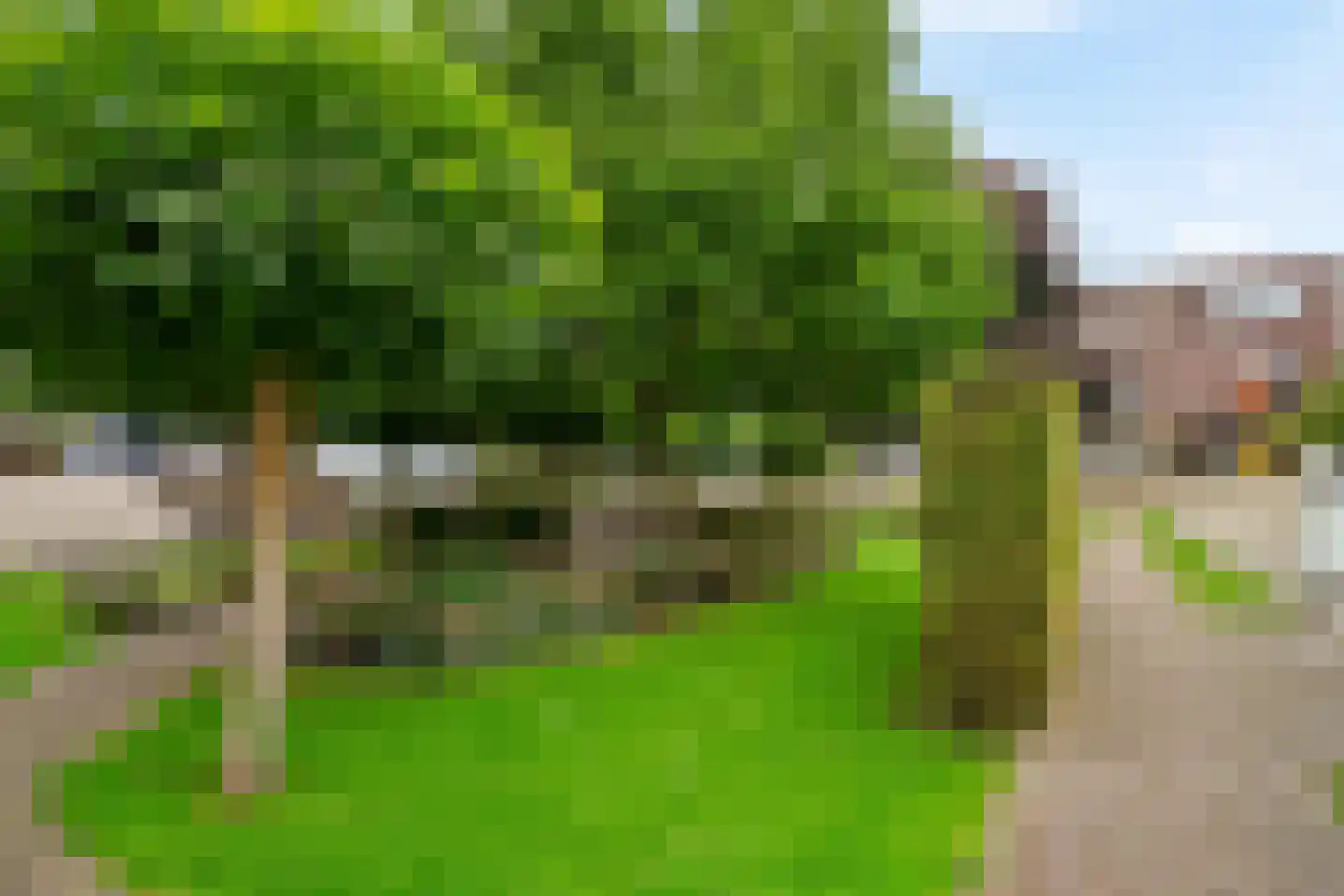 Tornemeer 4 Woerden thumbnail 50