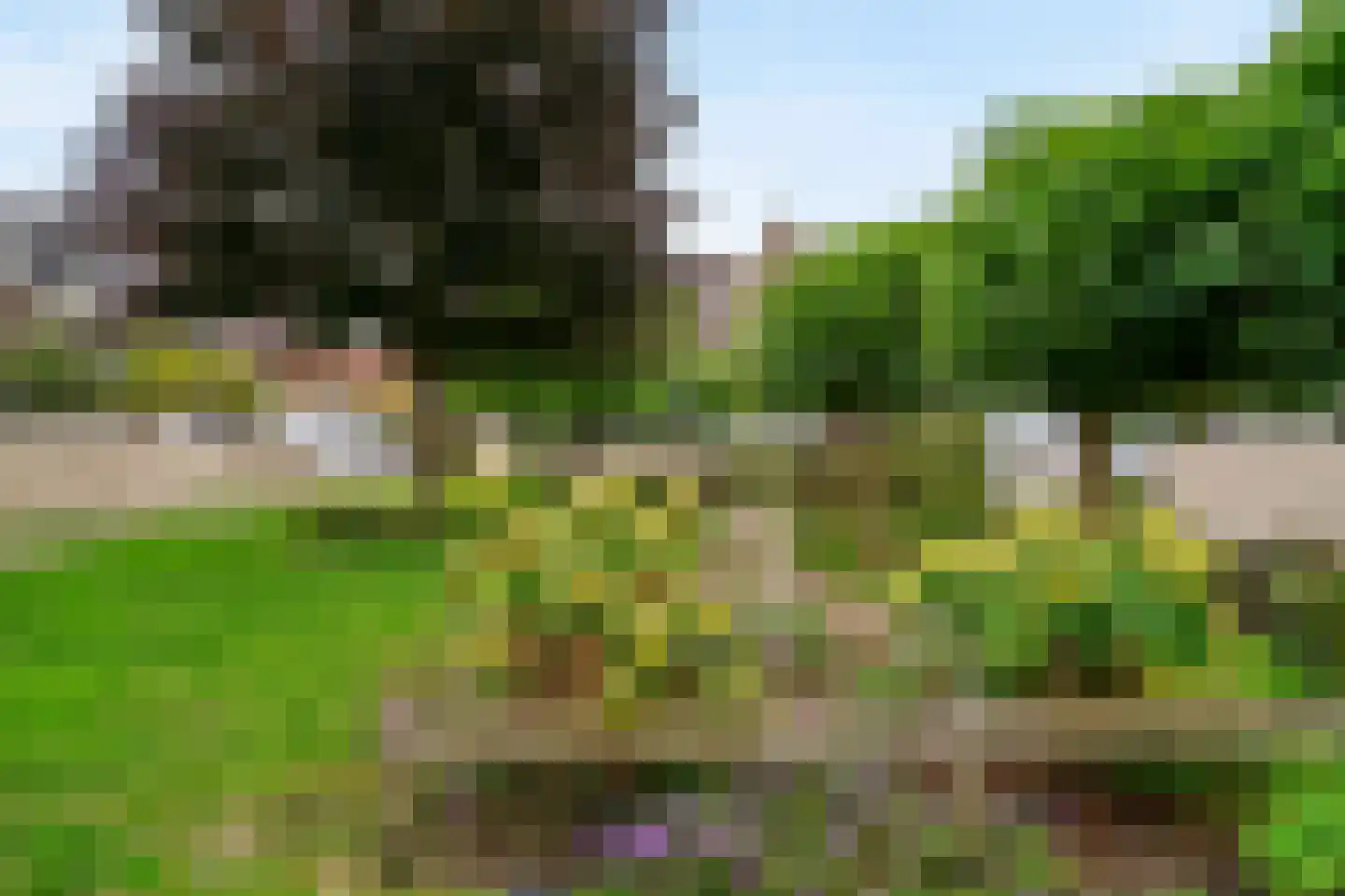 Tornemeer 4 Woerden thumbnail 52