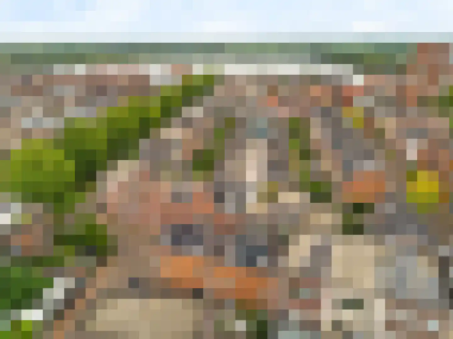 Tornemeer 4 Woerden thumbnail 7