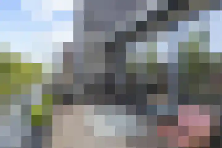 Tornemeer 50 Woerden thumbnail 43