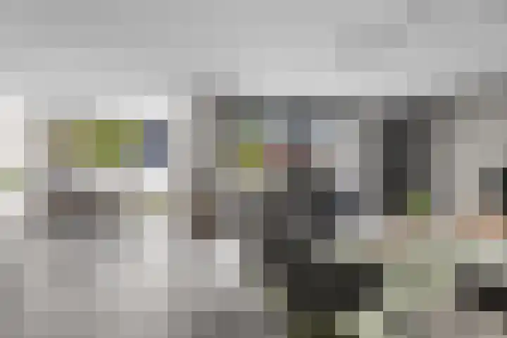 Tornemeer 52 Woerden thumbnail 10
