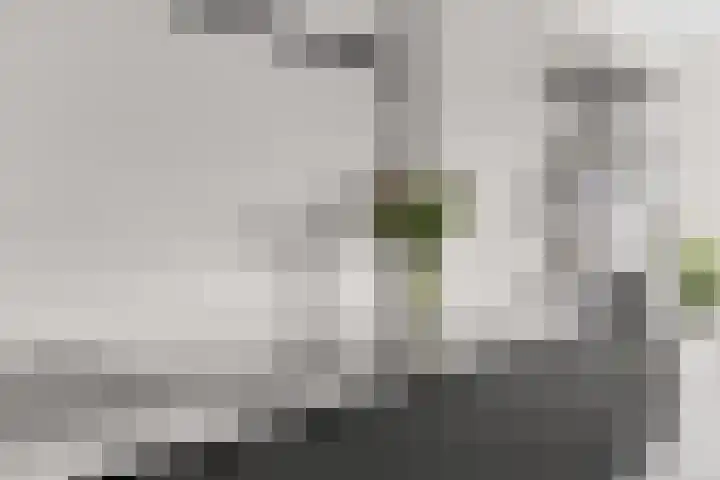 Tornemeer 52 Woerden thumbnail 22