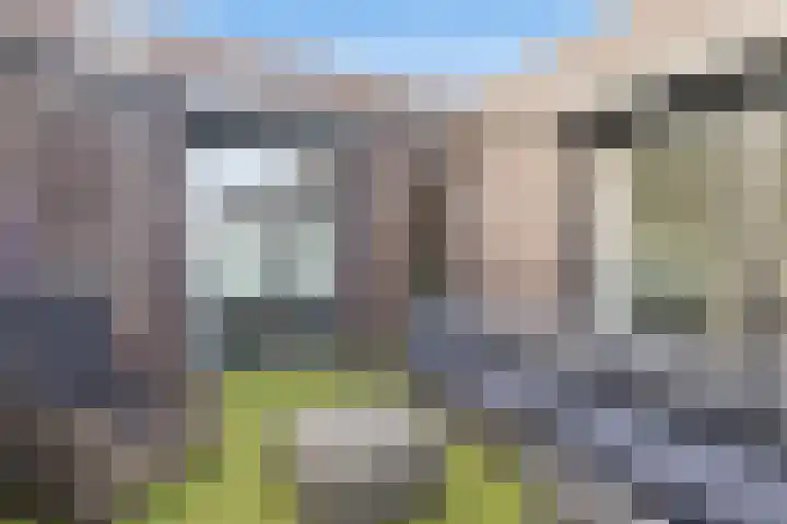 Tornemeer 52 Woerden thumbnail 33
