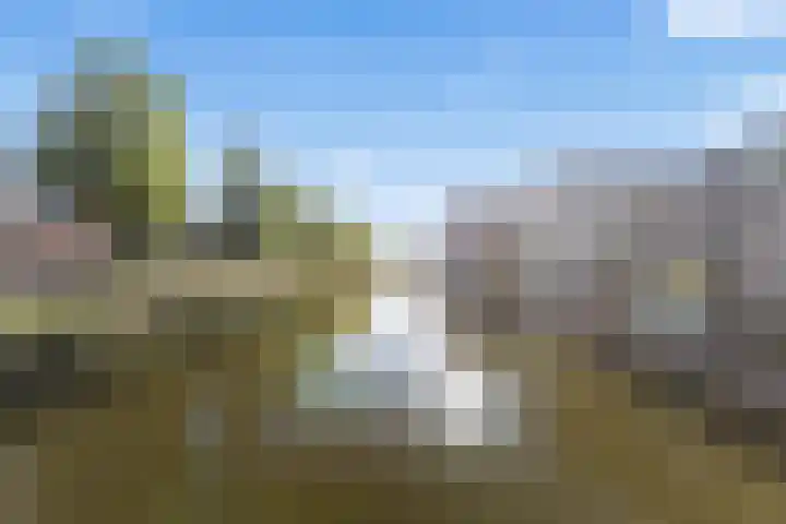 Tornemeer 52 Woerden thumbnail 4