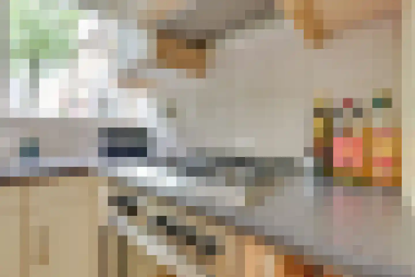 Torontodreef 30 Utrecht thumbnail 18