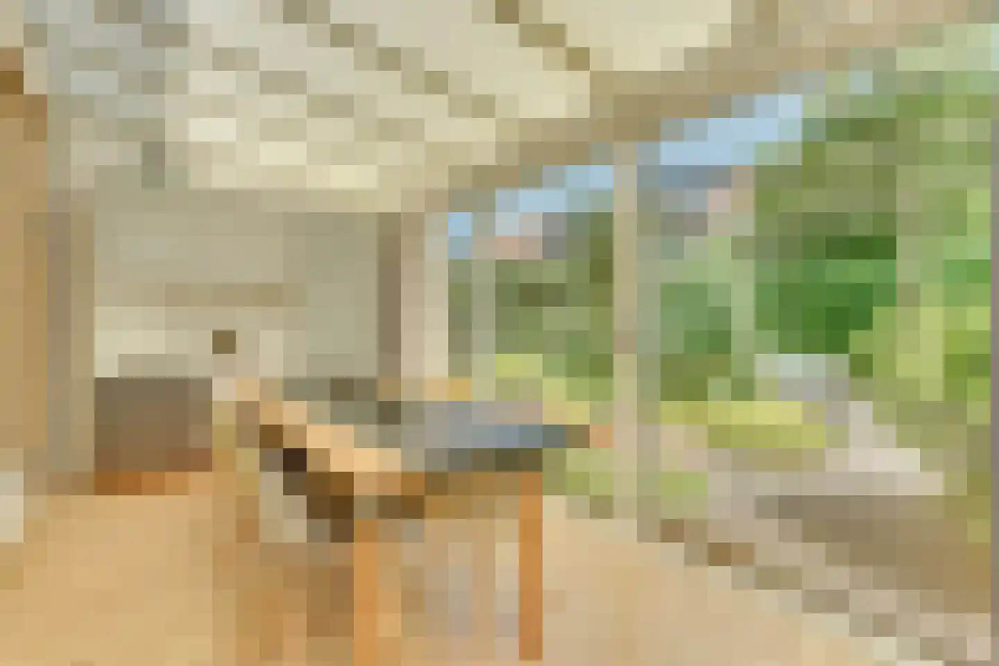 Torontodreef 30 Utrecht thumbnail 22