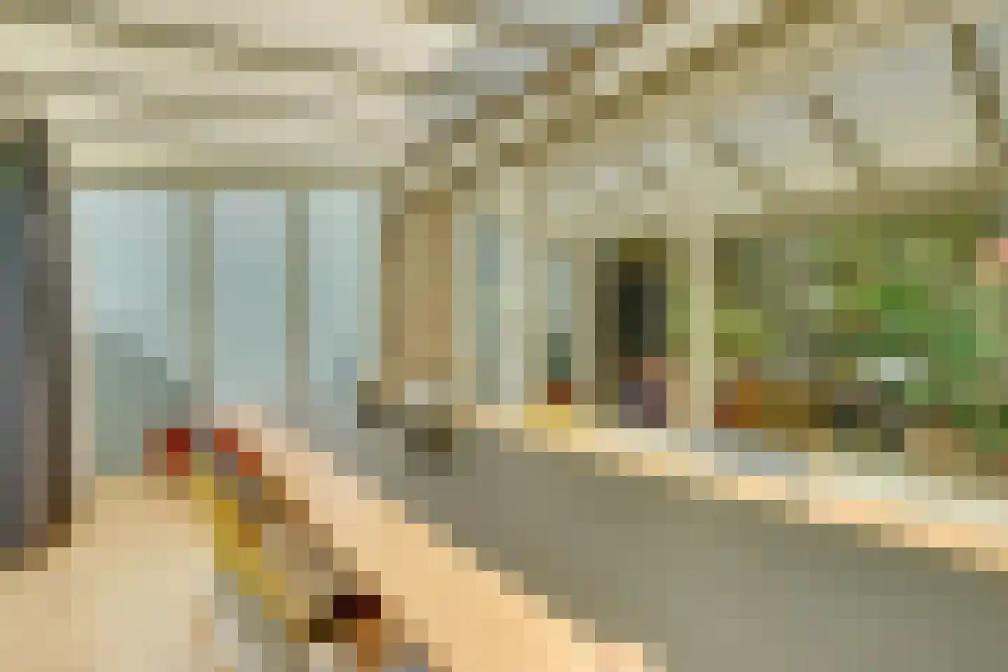 Torontodreef 30 Utrecht thumbnail 23