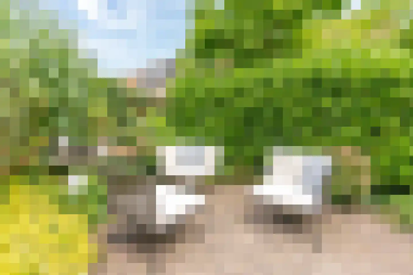 Torontodreef 30 Utrecht thumbnail 25