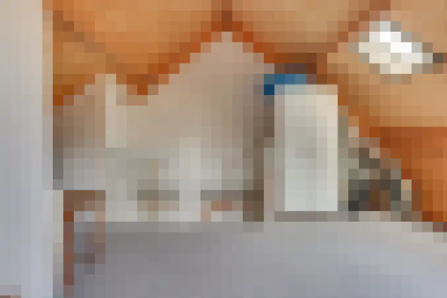 Torontodreef 30 Utrecht thumbnail 53