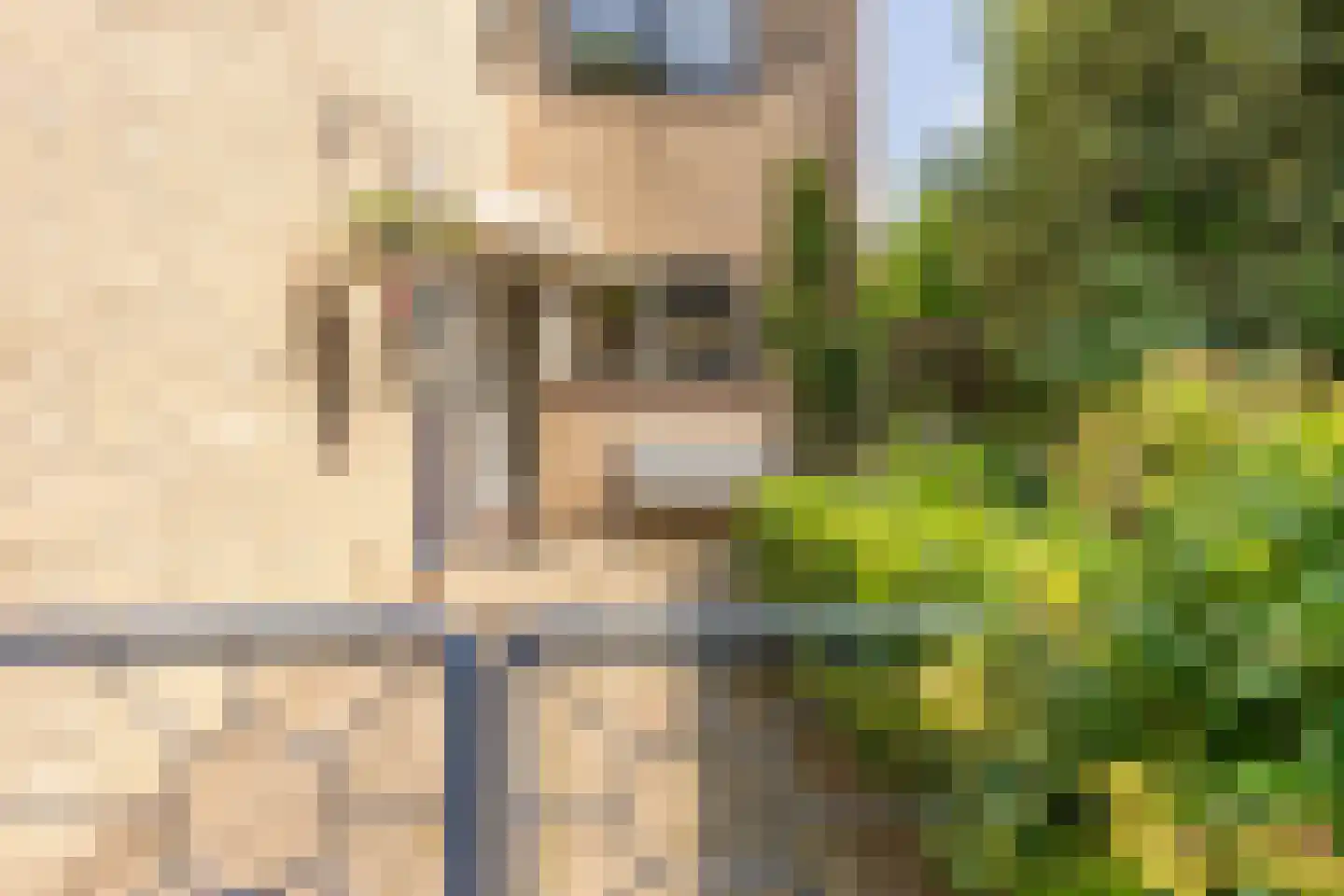 Torontodreef 30 Utrecht thumbnail 59