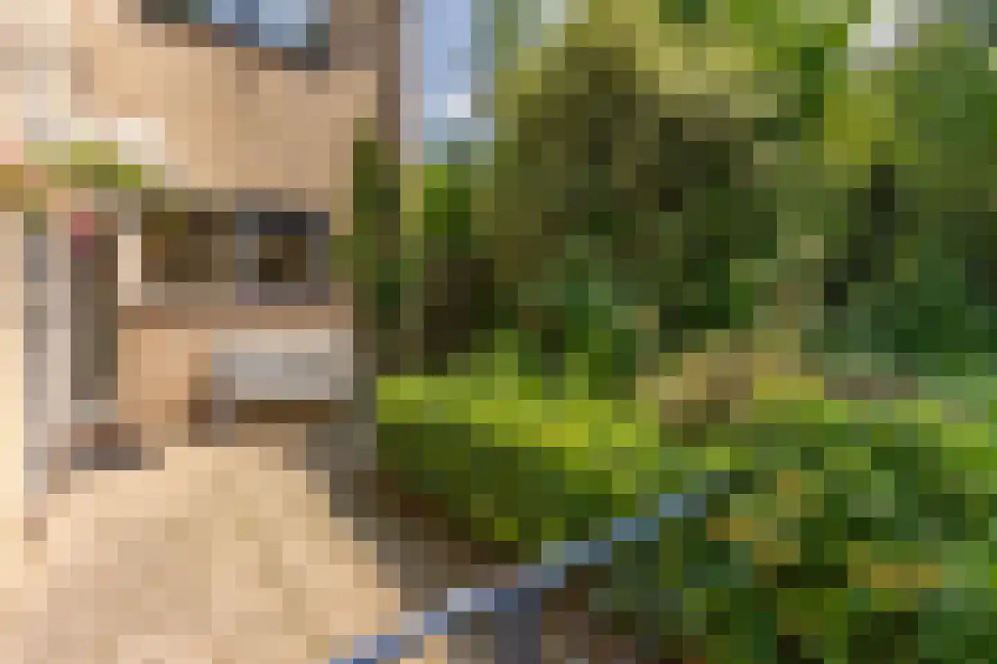 Torontodreef 30 Utrecht thumbnail 60